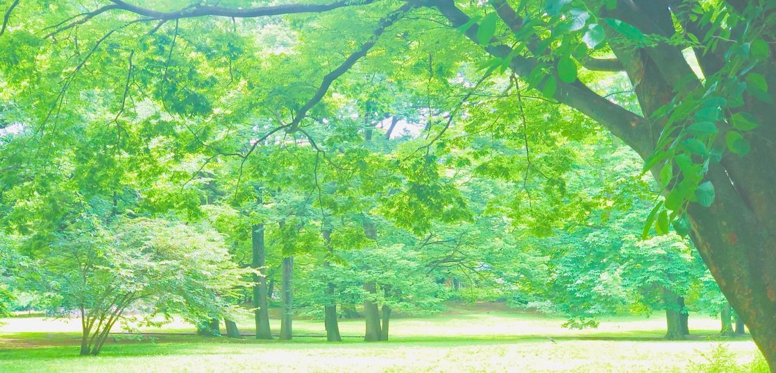 東京都内の公園や緑が見えるマンション特集 Creavision コラム 東京都内の公園や緑が見えるマンション特集 Creavision コラム