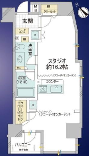 ラグジュアリーレジデンス新宿 5階 間取り図