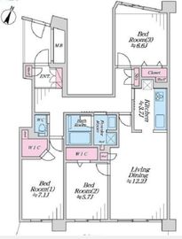 DIPS神楽坂 5階 間取り図