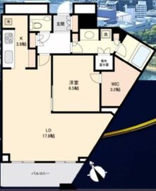 DIPS神楽坂 49階 間取り図