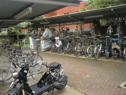 アルス洗足 物件写真 建物写真21