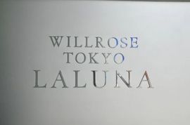 ウィルローズ東京ラルーナ 物件写真 建物写真6
