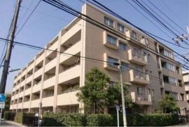 パークハウス元住吉ピュアコンフォート 物件写真 建物写真6