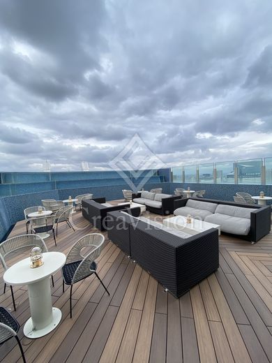 パークタワー勝どきミッド/サウス スカイデッキ　画像