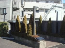 グランディオッソ 画像
