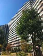 プラウドシティ金町ガーデン 外観