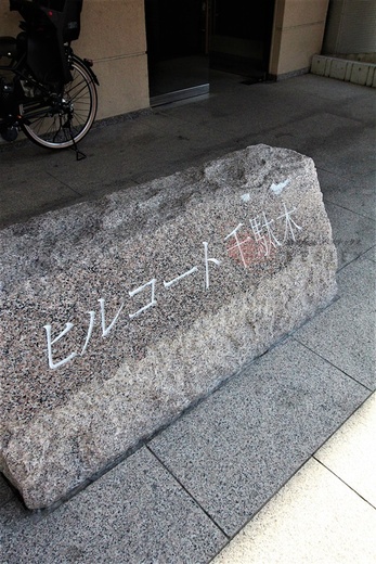 ヒルコート千駄木 物件写真 建物写真4