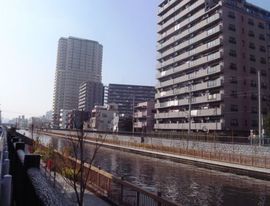 ライオンズステージ大島イーストアクエア 物件写真 建物写真4
