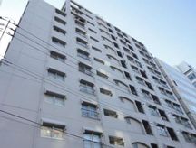 豊栄新都心マンション 画像