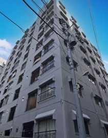 豊栄新都心マンション 写真