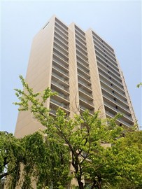 隅田リバーサイドタワー 物件写真 建物写真2
