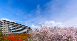 リーフィアレジデンス杉並井草森公園 物件写真 建物写真3