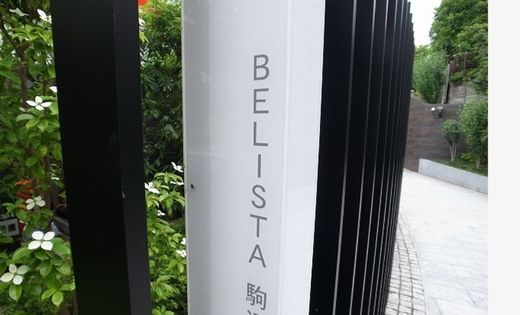 BELISTA駒沢 (ベリスタ駒沢) 物件写真 建物写真10