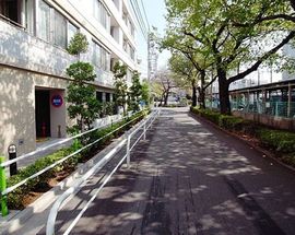 パークホームズ板橋ブロッサムアヴェニュー 物件写真 建物写真4