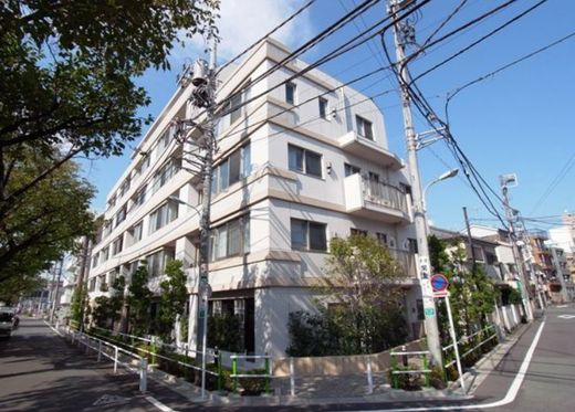パークホームズ板橋ブロッサムアヴェニュー 物件写真 建物写真8