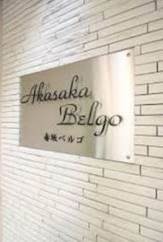 赤坂ベルゴ 物件写真 建物写真4