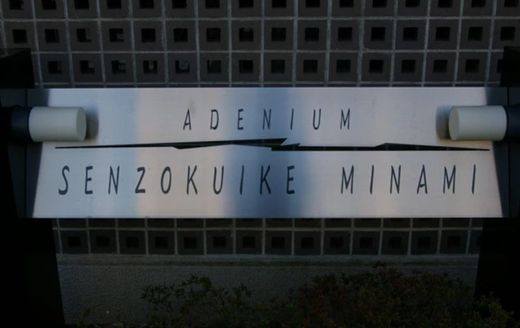 アデニウム洗足池南 物件写真 建物写真10