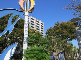 クレッセントしながわ公園ビュータワー 物件写真 建物写真3