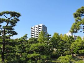 クレッセントしながわ公園ビュータワー 物件写真 建物写真6