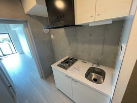 GRAN PASEO 蒲田Ⅱ(グランパセオ蒲田2) 物件写真 建物写真10