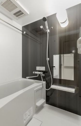 SPiNEL御茶ノ水 (スピネル御茶ノ水) 物件写真 建物写真17
