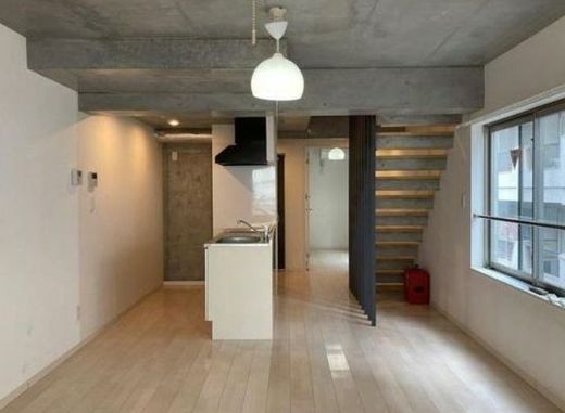 ラリシェス南麻布 物件写真 建物写真11