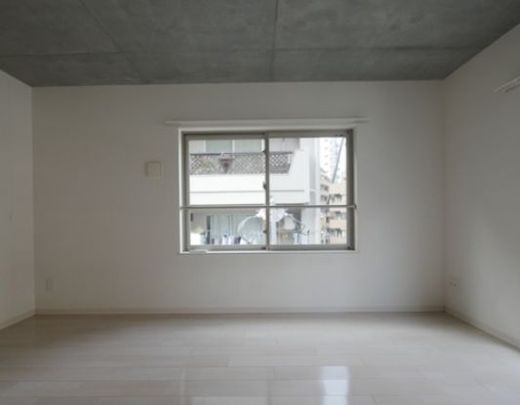 ラリシェス南麻布 物件写真 建物写真14