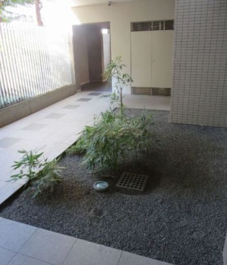 グランドメゾン西巣鴨 物件写真 建物写真12