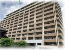 コスモシティ武蔵小杉 物件写真 建物写真1