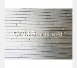 コートブランシェAP 物件写真 建物写真4