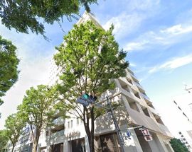 プラウド阿佐ヶ谷 物件写真 建物写真4
