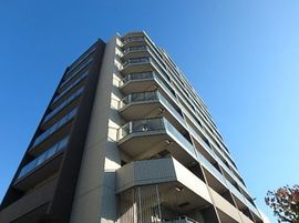 ザ・パークハウス錦糸公園 物件写真 建物写真3