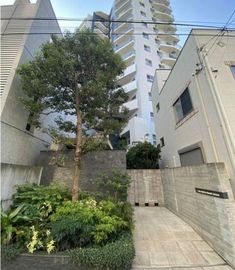 グランドメゾン中野坂上 物件写真 建物写真6