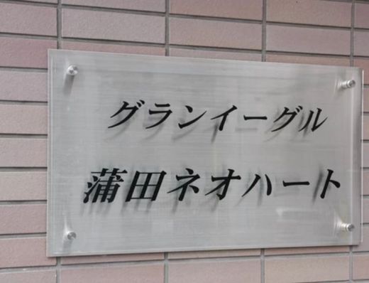 グランイーグル蒲田ネオハート 物件写真 建物写真5