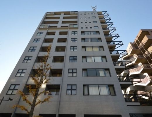 グランドメゾン白山 物件写真 建物写真5