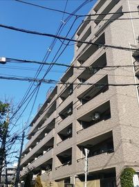 ライオンズマンション文京白山 物件写真 建物写真5