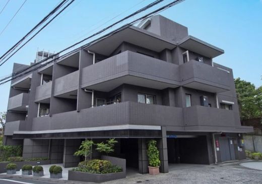 目白御留山デュープレックス 物件写真 建物写真10