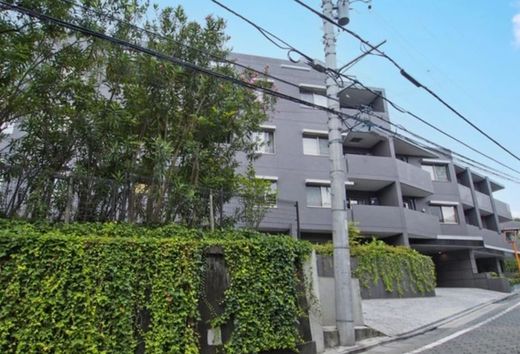 目白御留山デュープレックス 物件写真 建物写真11