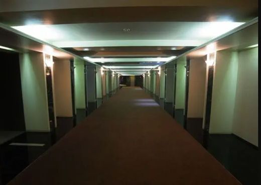 目白御留山デュープレックス 物件写真 建物写真18