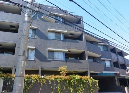 目白御留山デュープレックス 物件写真 建物写真2