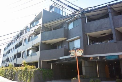 目白御留山デュープレックス 物件写真 建物写真3