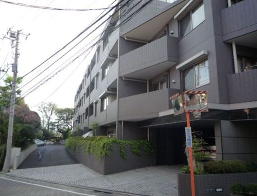 目白御留山デュープレックス 物件写真 建物写真4