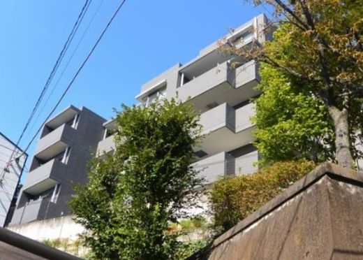 目白御留山デュープレックス 物件写真 建物写真5