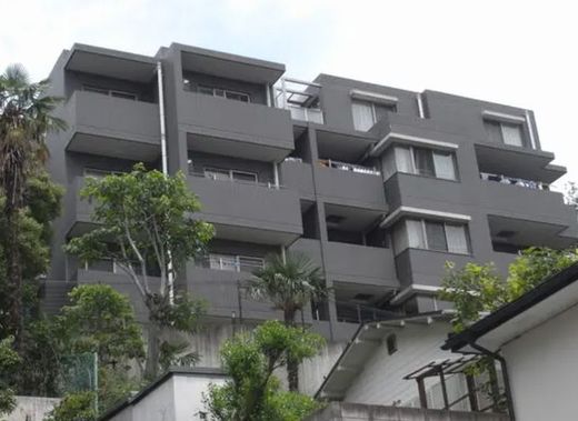 目白御留山デュープレックス 物件写真 建物写真9