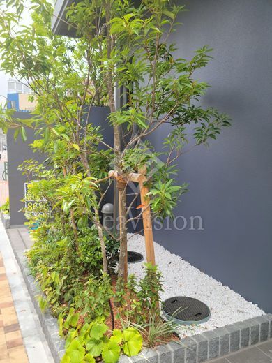 テラス押上 外観 物件画像6