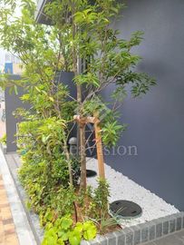 テラス押上 外観 物件画像6