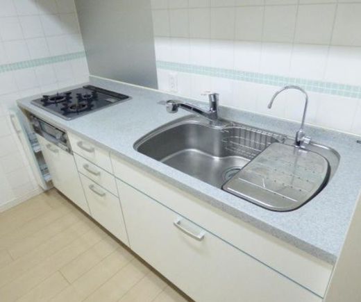 ライオンズシティ錦糸町北斎通り 物件写真 建物写真18