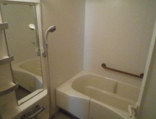カスタリア住吉2 物件写真 建物写真11