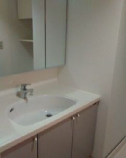 クレッセント新丸子Ⅴ 物件写真 建物写真10