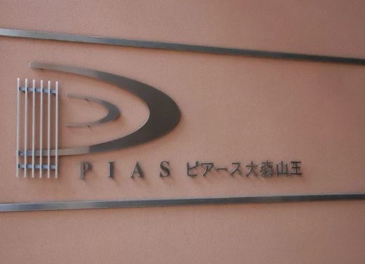 ピアース大森山王 物件写真 建物写真9
